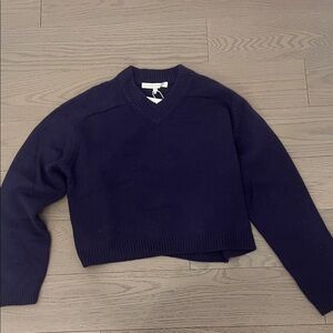 NakedCashmere Deep Purple V-Neck Sweater